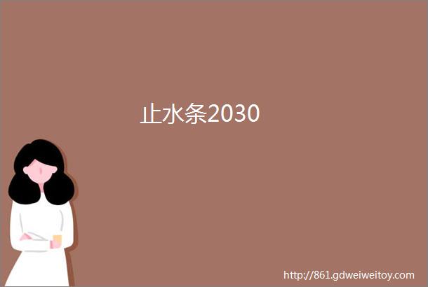 止水条2030